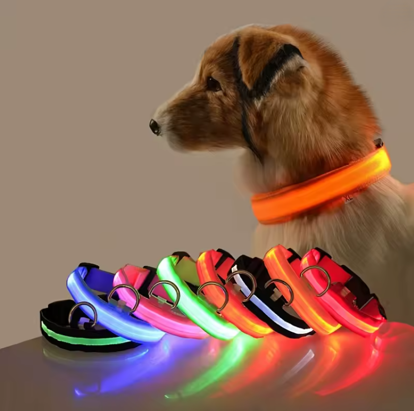 LED Dog Collar