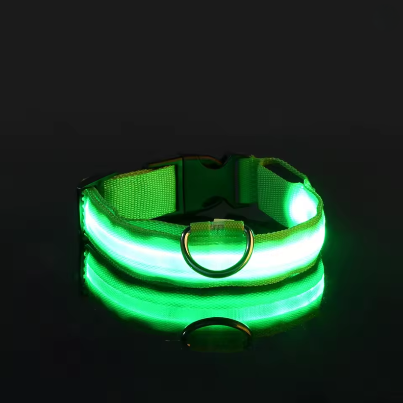 LED Dog Collar