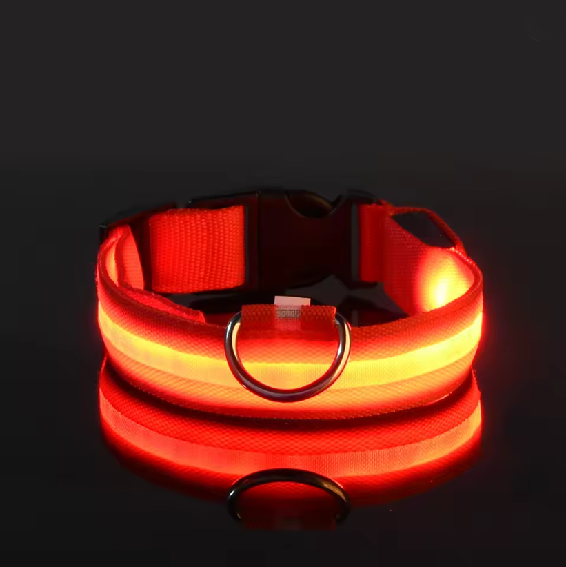 LED Dog Collar